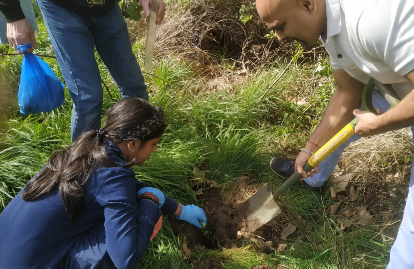 Planting a sapling